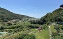 trilocale-immerso-nel-verde-con-vista-aperta