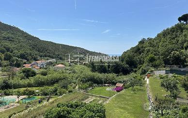 Trilocale immerso nel verde con vista aperta