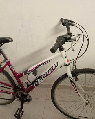 Bicicletta Donna