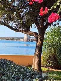 SARDEGNA STINTINO a due passi dall'acqua