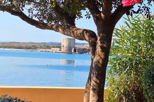 SARDEGNA STINTINO a due passi dall'acqua