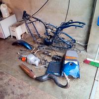 Aprilia Red rose classic