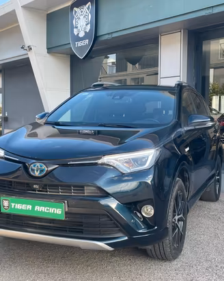 Toyota RAV 4 RAV4 2.5 Hybrid 4WD Exclusive