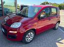 fiat-panda-1-2-pop