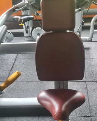 technogym delt machine 