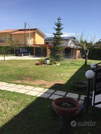 Grazioso appartamento