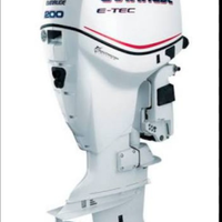Pezzi Fuoribordo Evinrude e tec 200 cv