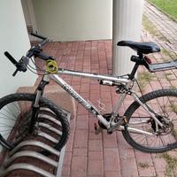 Mountain Bike Wheeler Falcon 30