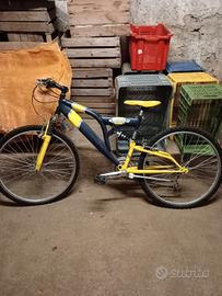 Bicicletta