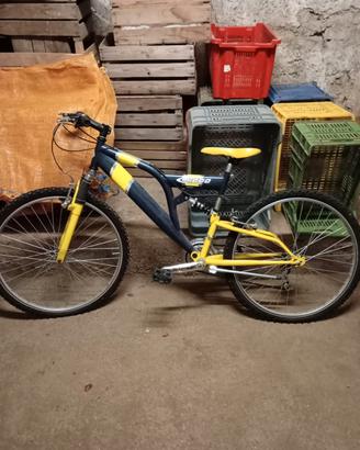 Bicicletta