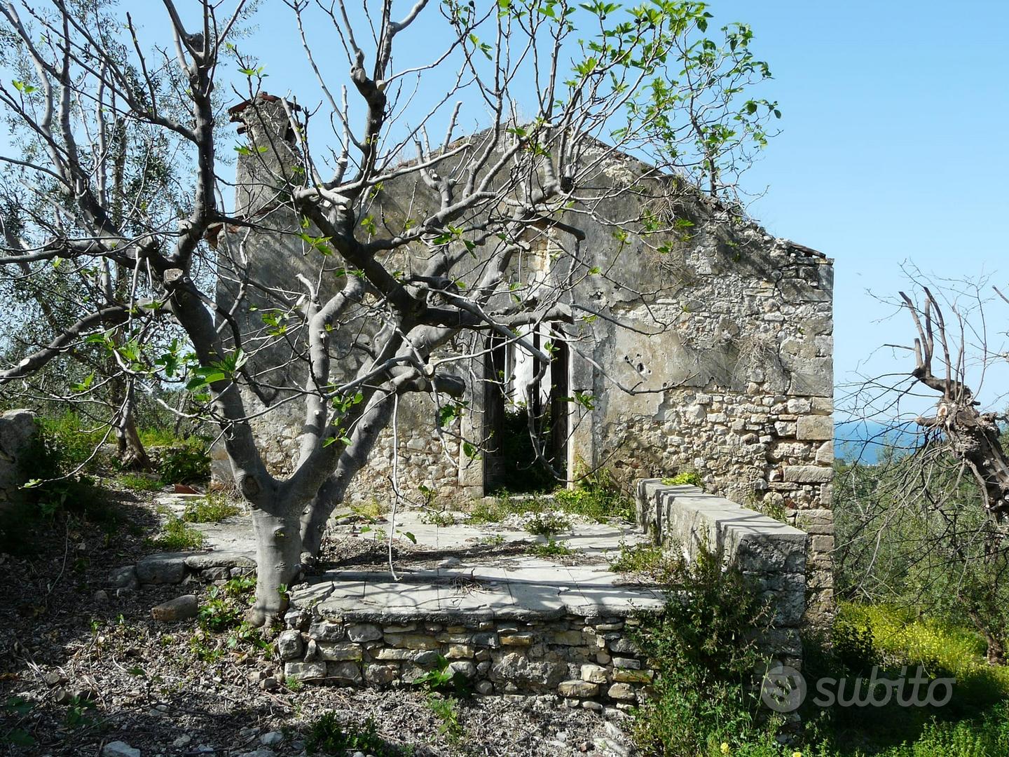 Terreni con rudere in Gargano - Vista 4