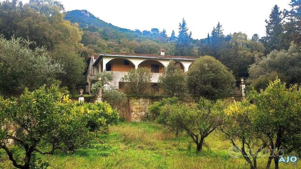 Villa immersa nel verde (Da ristrutturare)