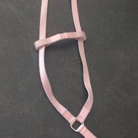 collare per cane  di media piccola taglia 