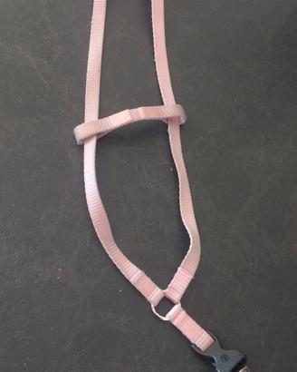 collare per cane  di media piccola taglia 