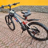 bici a pedalata assistita 