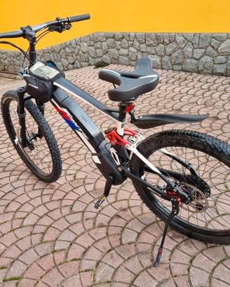bici a pedalata assistita 
