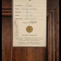 Poltrone Cinesi Angiche