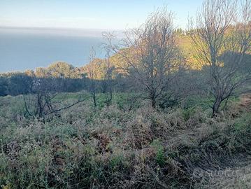 Terreno di tre ettari