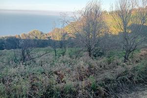 Terreno di tre ettari