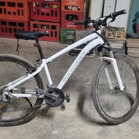 bicicletta mbk