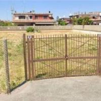 Orto urbano a ladispoli cerreto