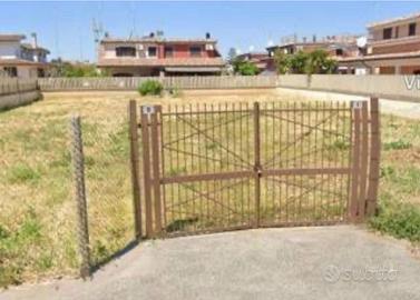 Orto urbano a ladispoli cerreto