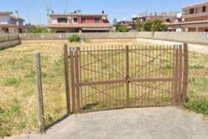 Orto urbano a ladispoli cerreto