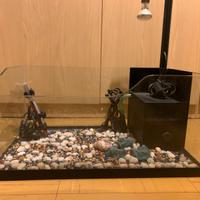 Vasca per tartarughe