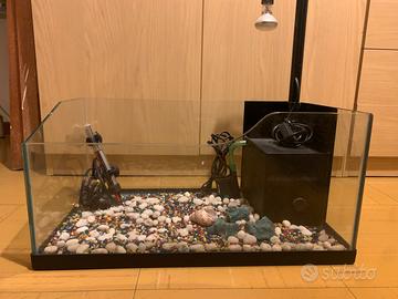 Vasca per tartarughe