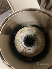 Elica Evinrude 13x19