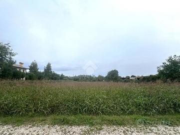 TER. AGRICOLO A SAN ZENONE DEGLI EZZELINI