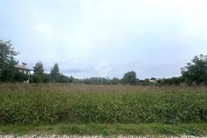 TER. AGRICOLO A SAN ZENONE DEGLI EZZELINI