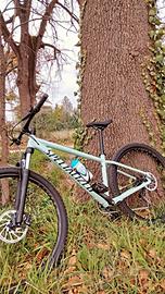 Specialized rockhopper 29"