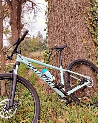 Specialized rockhopper 29"