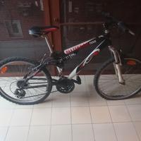 mountain-bike 