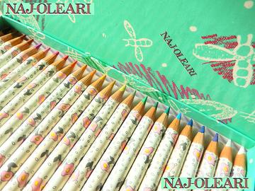 🐝 NAJ-OLEARI Vintage 80 Matite PASTELLI COLORATI