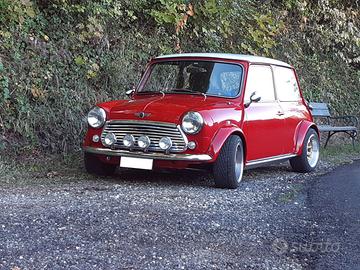 Mini 1989