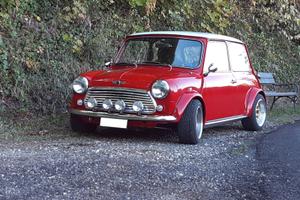 Mini 1989