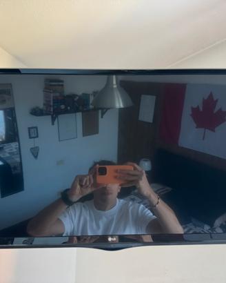 Smart TV / Monitor LG 28" (Modello 28MT49S-PZ)