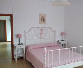 MARE SENIGALLIA dal 23 al 30/8 e 1-4 agosto
