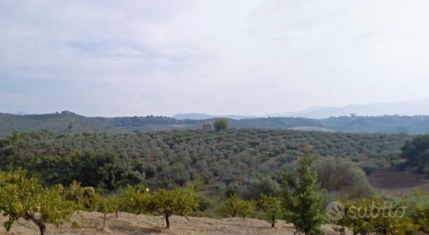 Terreno di 7,6 Ettari su Magnifica Collina