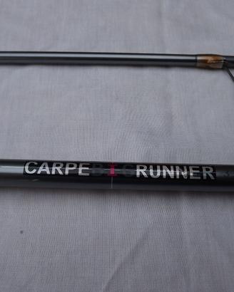 Canna per carpfisching