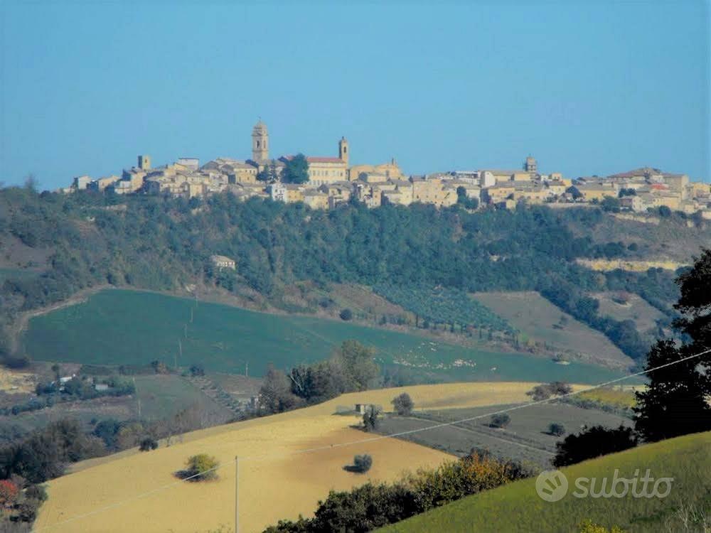 Casa Colonica con Terreno - Monterubbiano - Vista 5