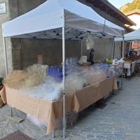 Gazebo pieghevole 4x2 - bianco