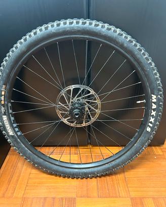 Coppia ruote 29 bici DT SWISS
