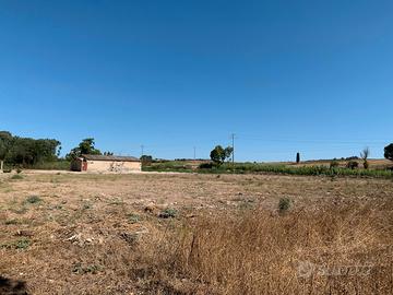 Capannone artigianale /commerciale