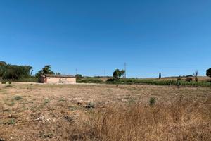 Capannone artigianale /commerciale