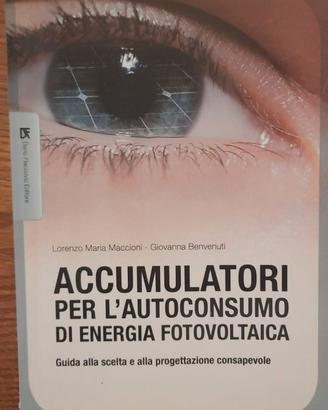 Accumulatori per l'autoconsumo fotovoltaica