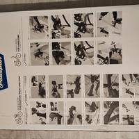 parabrezza bici bimbo