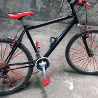 Bicicletta mountain  bike 